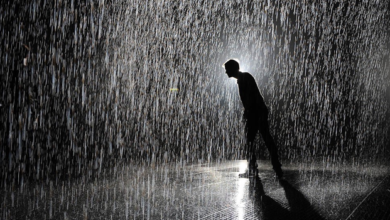 The Healing Power of Rain: How It Can Help Brighten Your Mood